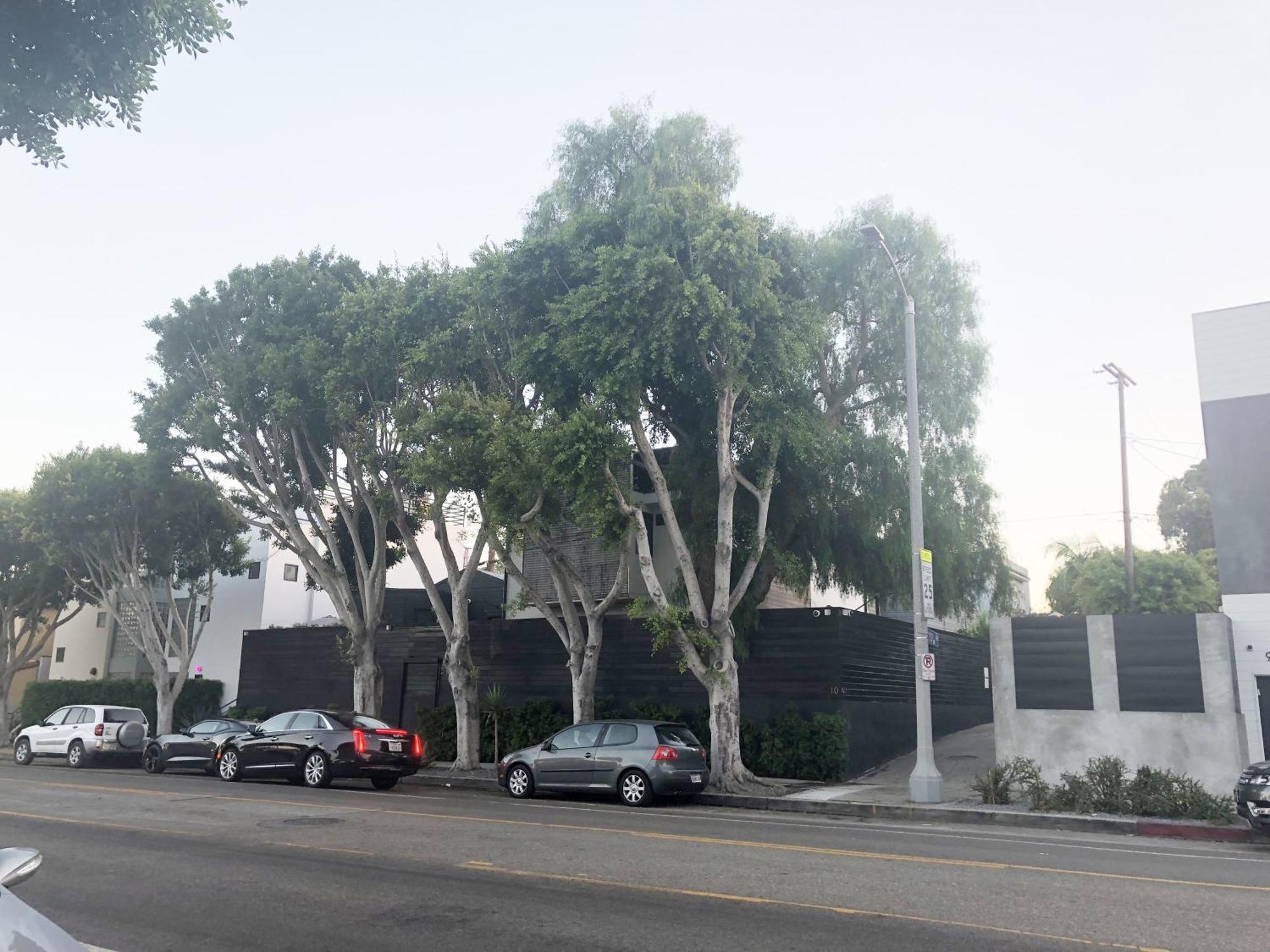 Venice Beach Bungalow By Artspace Locations לוס אנג'לס מראה חיצוני תמונה